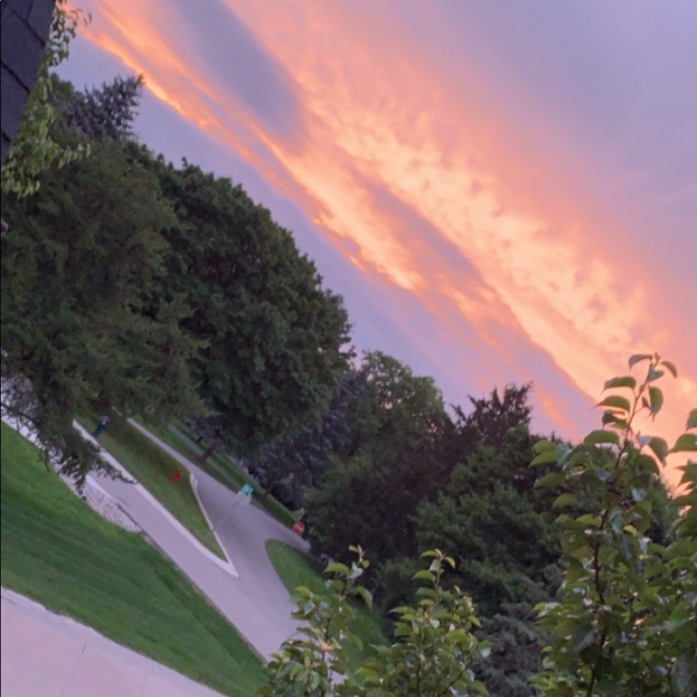 Meet your Posher, Bridgette